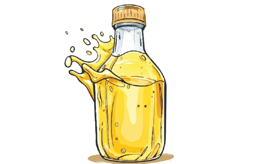 Get to know Omani olive oil